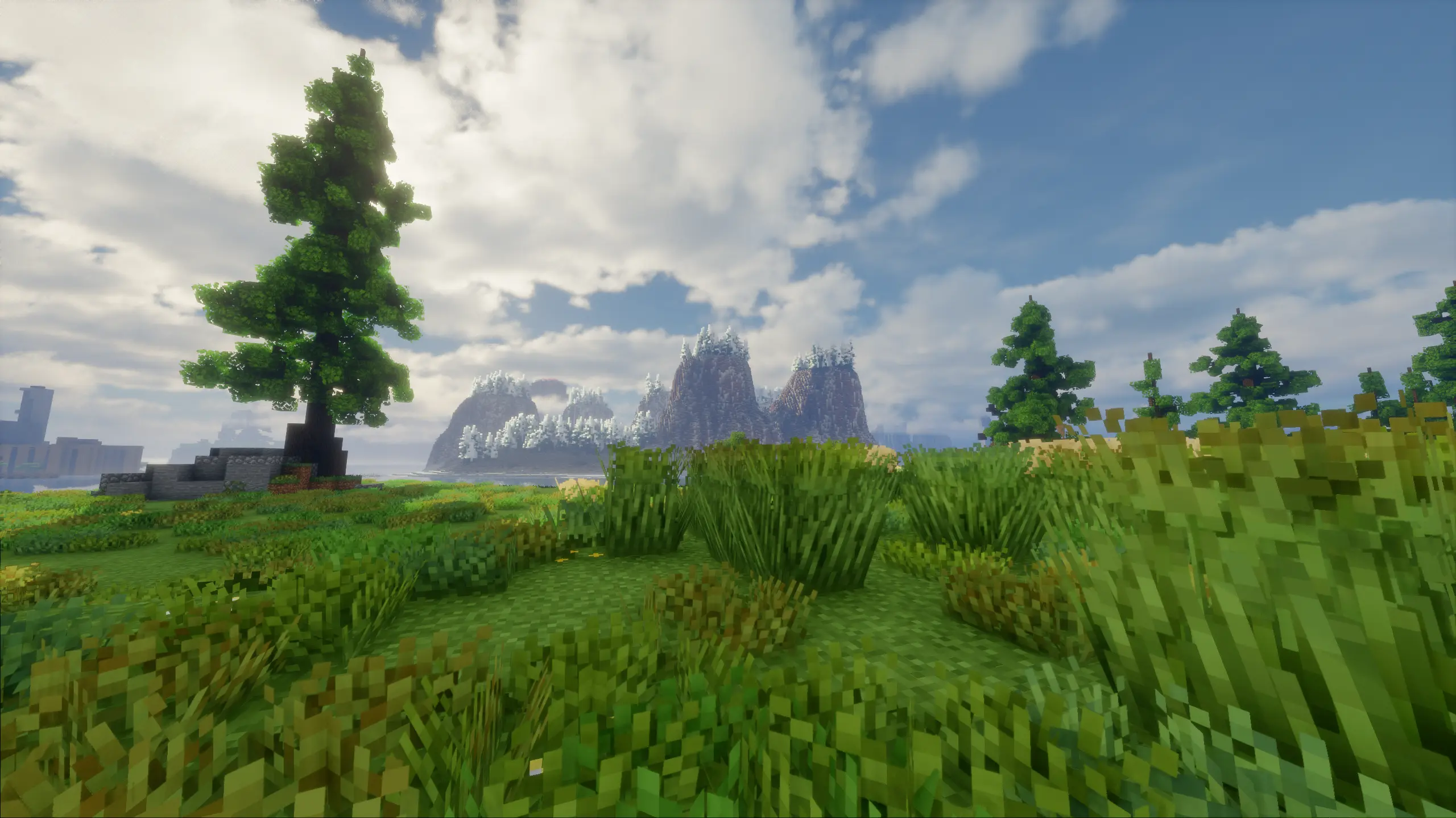 One Piece World Screenshot 6